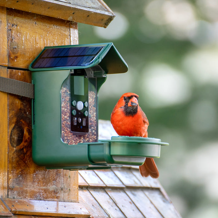 Explore Scientific Wild Bird Feeder Wi-Fi Camera