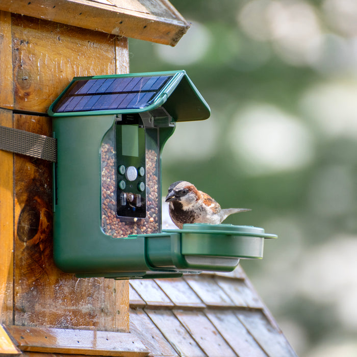 Caméra de mangeoires à oiseaux Bresser