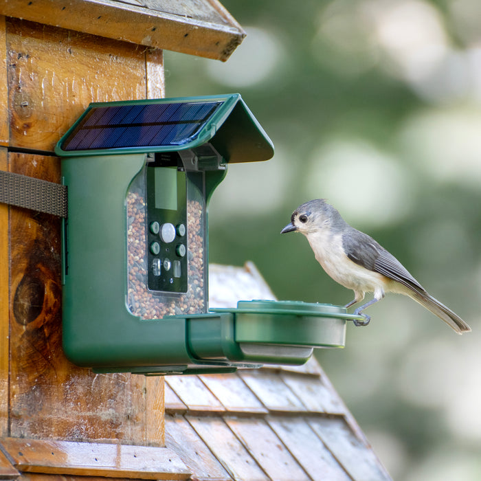 Explore Scientific Wild Bird Feeder Wi-Fi Camera