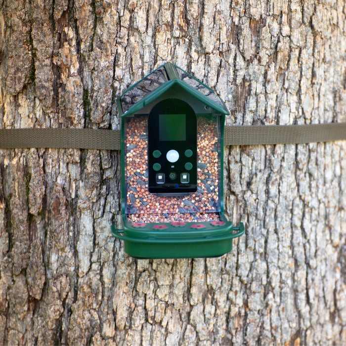 Caméra de mangeoires à oiseaux Bresser