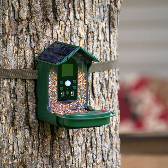 Caméra de mangeoires à oiseaux Bresser