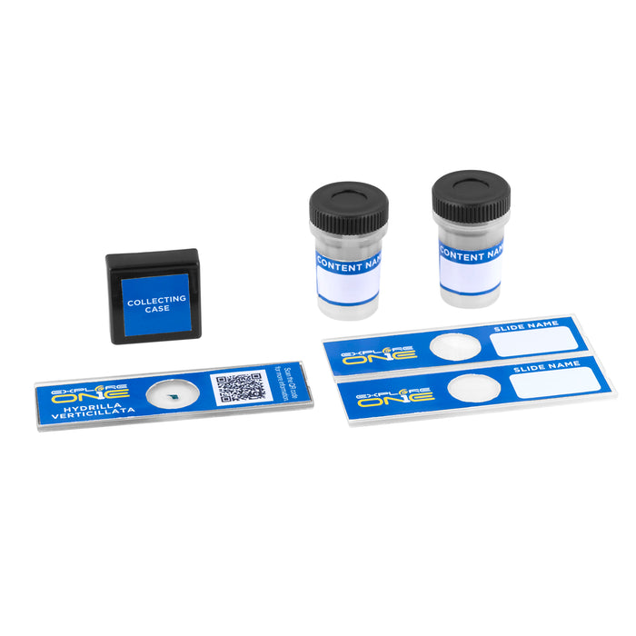 Explore One 100x-1200x Microscope Set